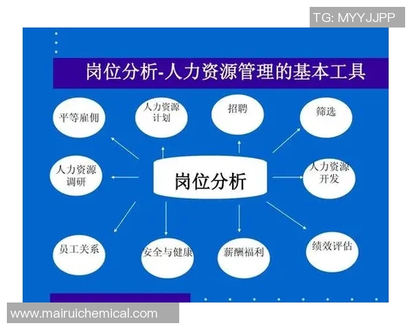 杭州排球队近期状态分析与表现评估探讨