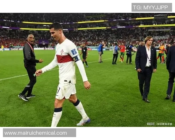 足球明星全景图鉴尽览全球球星风采与传奇瞬间